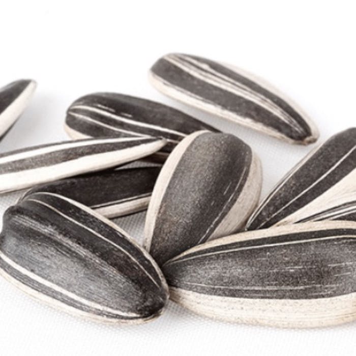 ひまわりの種 バーチャルsns Cluster クラスター